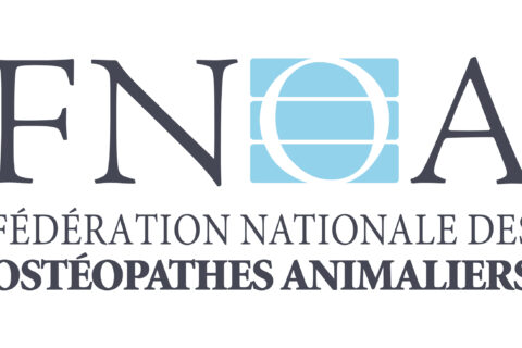 LOGO-FNOA