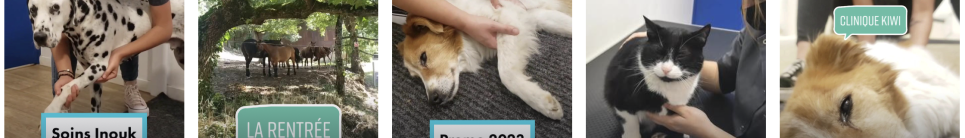 Capture d’écran 2022-10-10 à 14.43.26