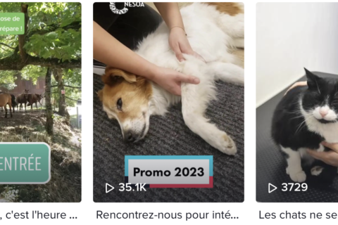 Capture d’écran 2022-10-10 à 14.43.26