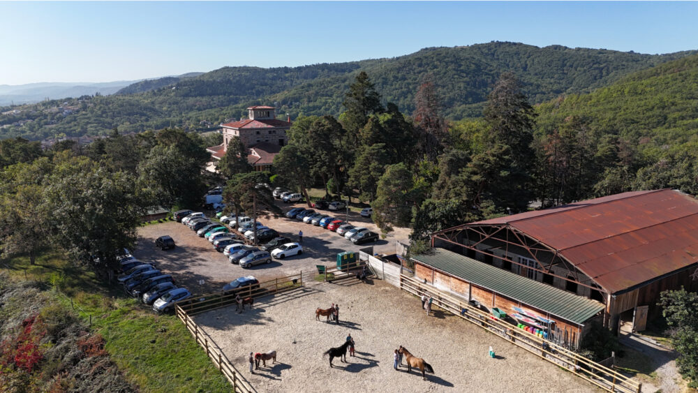 c-nesoa-cadre-osteopahtie-animale