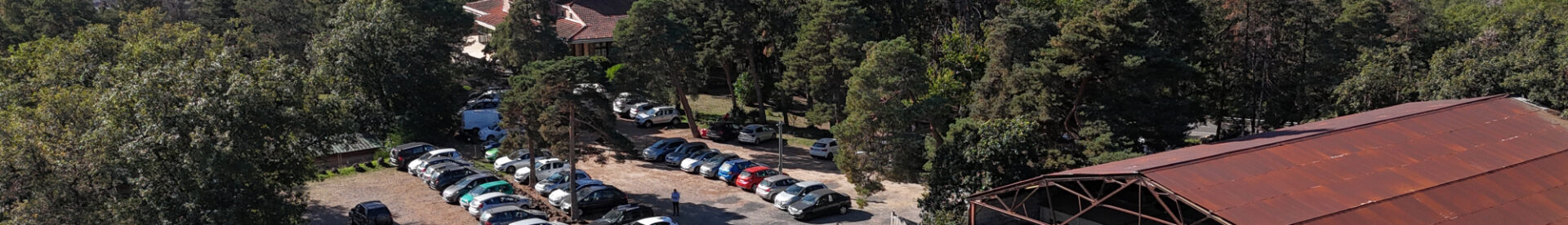 c-nesoa-cadre-osteopahtie-animale