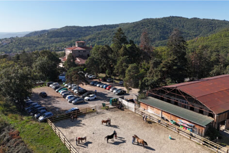 c-nesoa-cadre-osteopahtie-animale