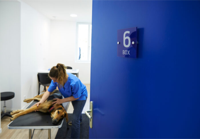 c-nesoa-clinique-ostepathie-animale