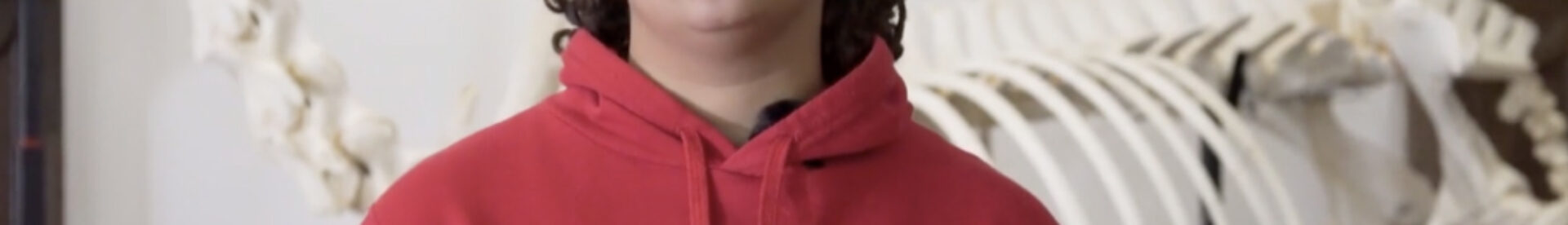 double-cursus-osteopathie-animale