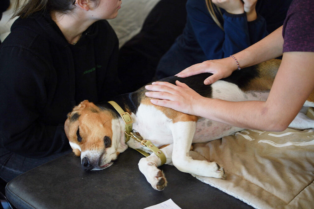 Les différents métiers