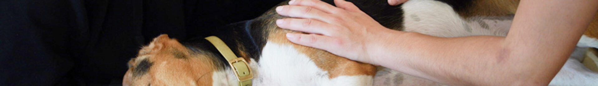 Les différents métiers