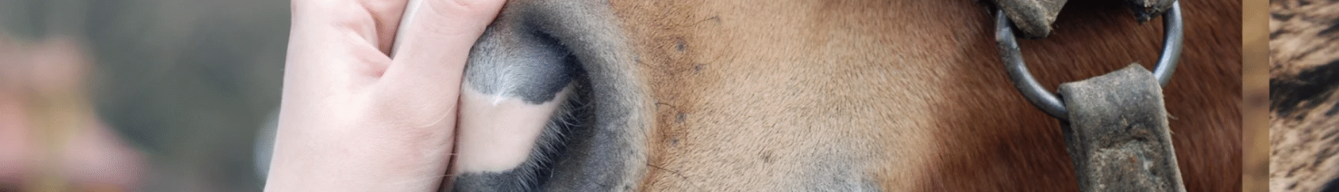 Capture d’écran 2025-06-19 à 16.29.24