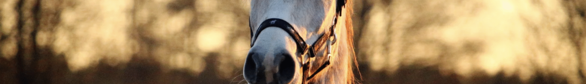 Capture d’écran 2025-06-19 à 16.34.34