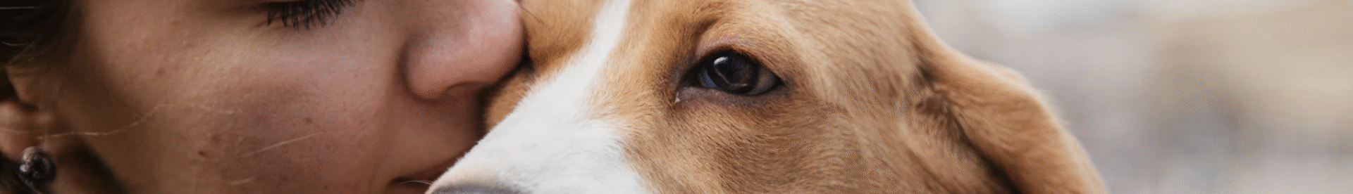 Capture d’écran 2025-06-19 à 16.52.35