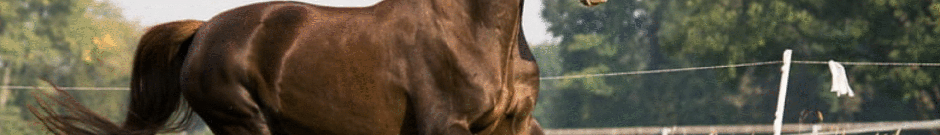 Capture d’écran 2025-06-19 à 17.27.20