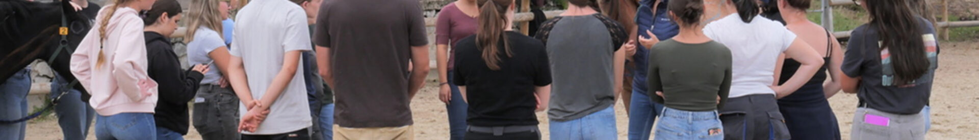 ostéopathie équine, comment reconnaitre un cheval bloqué