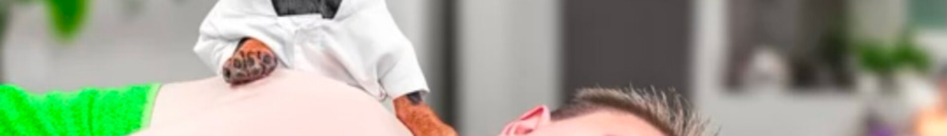 sinstaller-en-liberal-etapes-cles-osteopathe-animalier